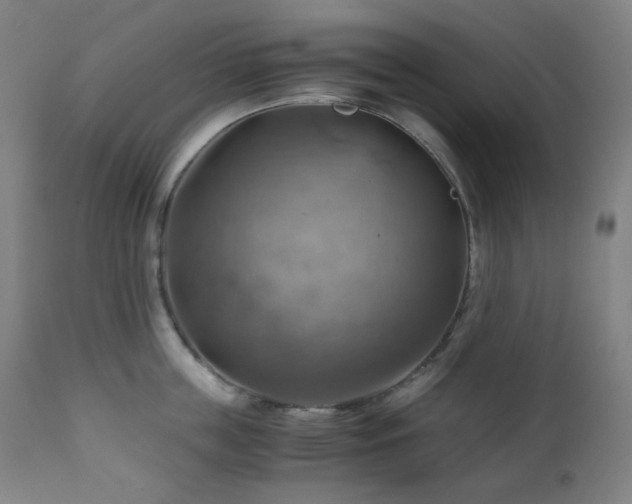 X0000111030859200906251303