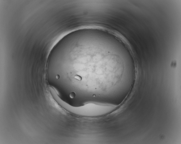 X0000111030860200906251303