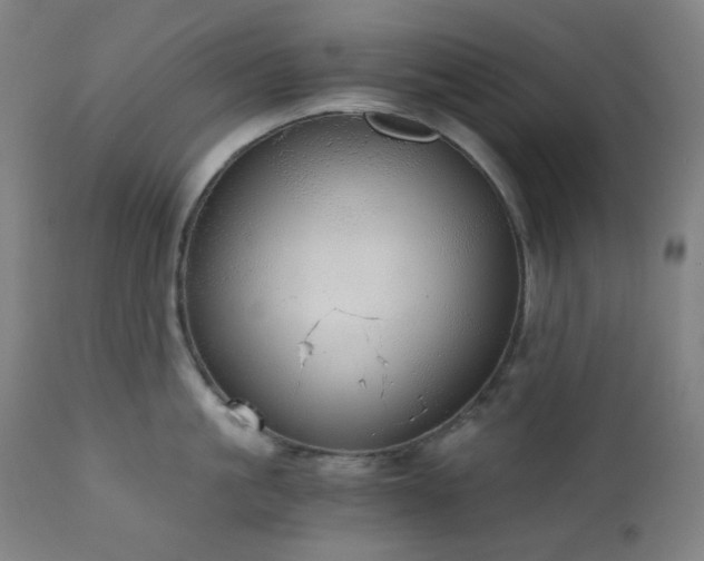X0000111030861200906251303