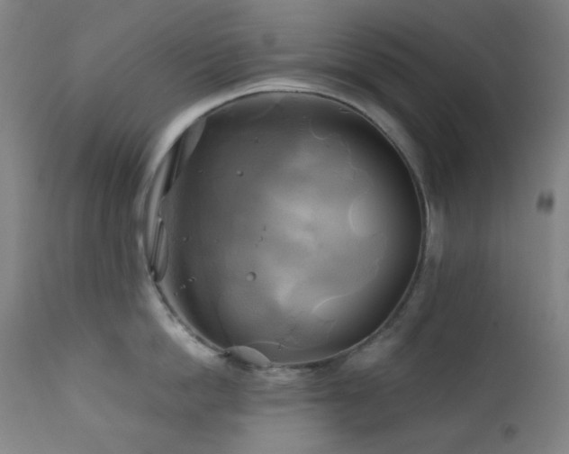 X0000111030862200906251303