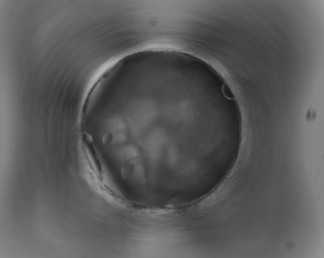 X0000111030864200906251303