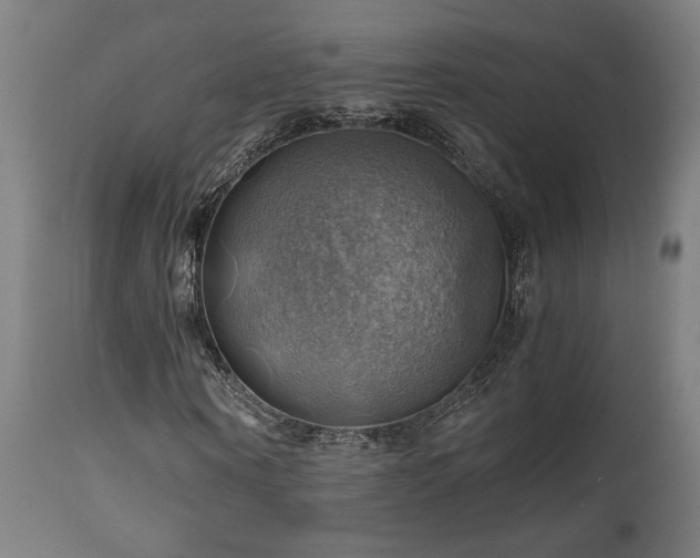 X0000111030866200906251302