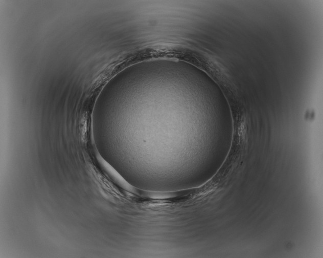 X0000111030868200906251302
