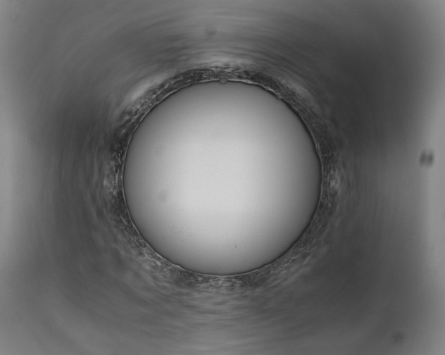 X0000111030869200906251302