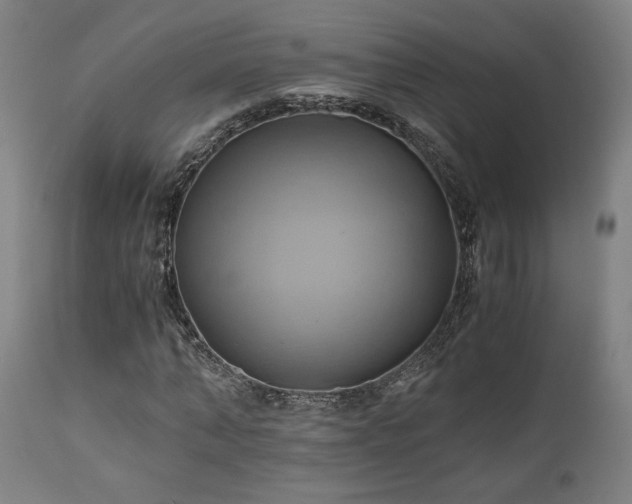 X0000111030870200906251302
