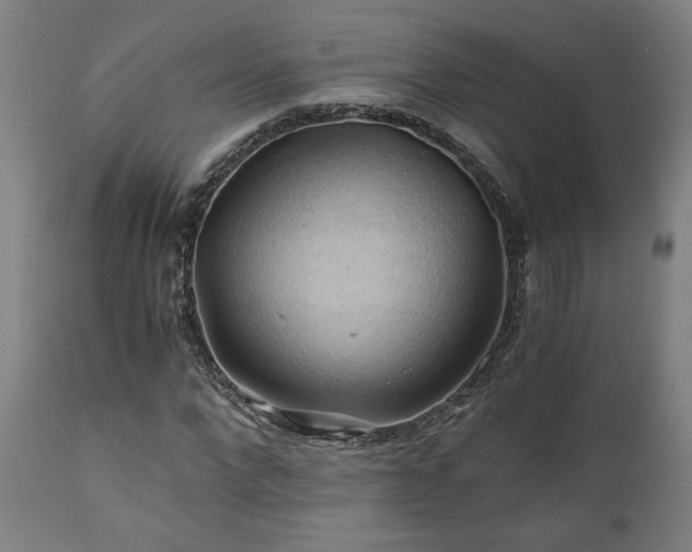 X0000111030872200906251302