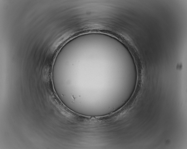 X0000111030873200906251302