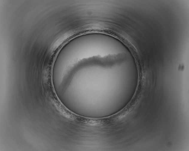 X0000111030874200906251302