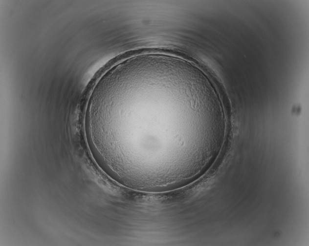 X0000111030875200906251302