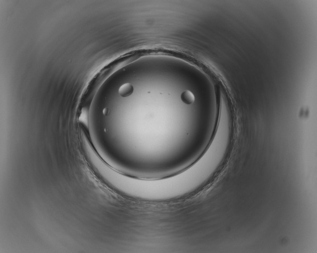 X0000111030876200906251302
