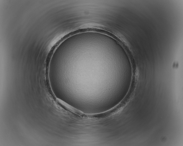 X0000111030877200906251302