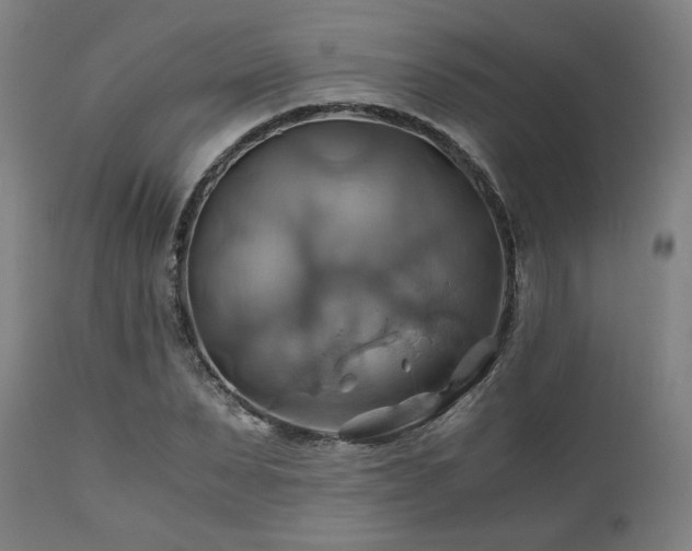 X0000111030879200906251302