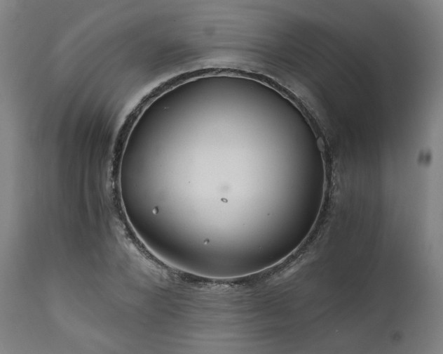 X0000111030880200906251302