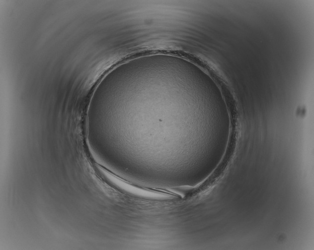 X0000111030881200906251302