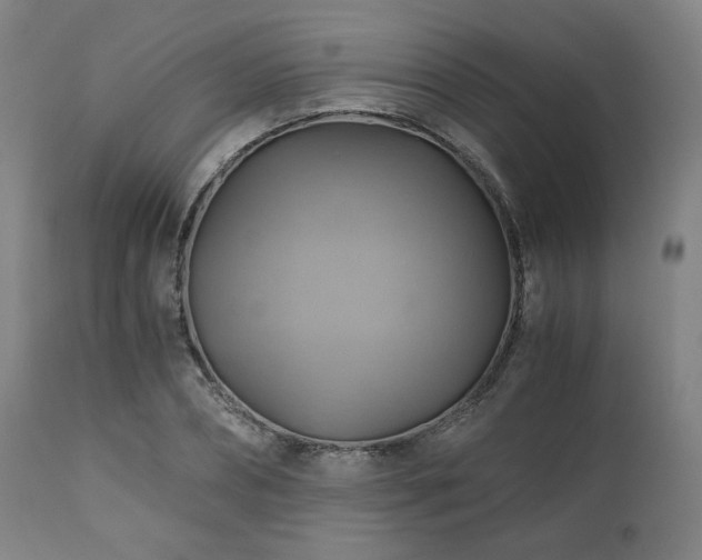 X0000111030882200906251302
