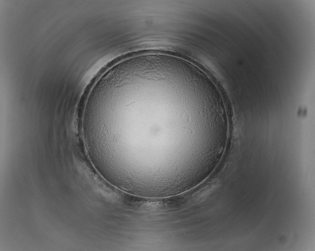 X0000111030883200906251302
