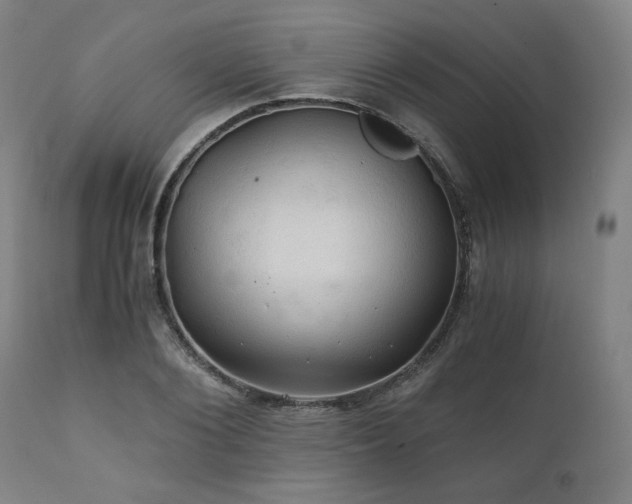 X0000111030884200906251302