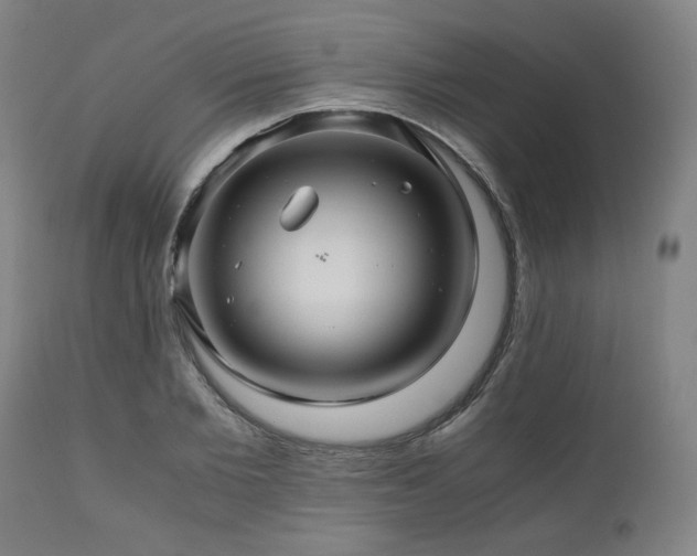 X0000111030885200906251302