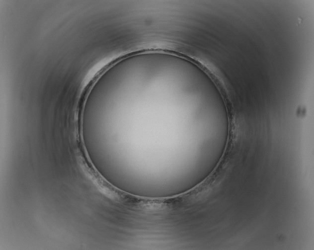 X0000111030886200906251302