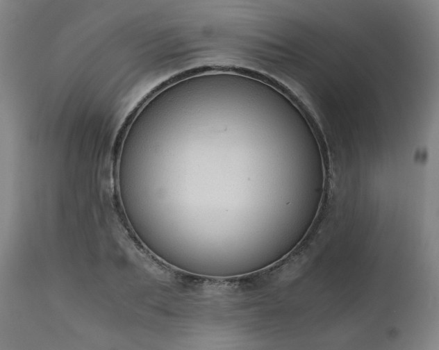 X0000111030887200906251302