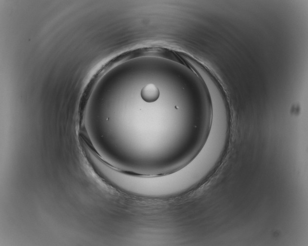 X0000111030888200906251302