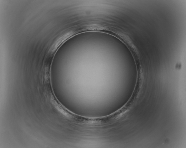 X0000111030889200906251302