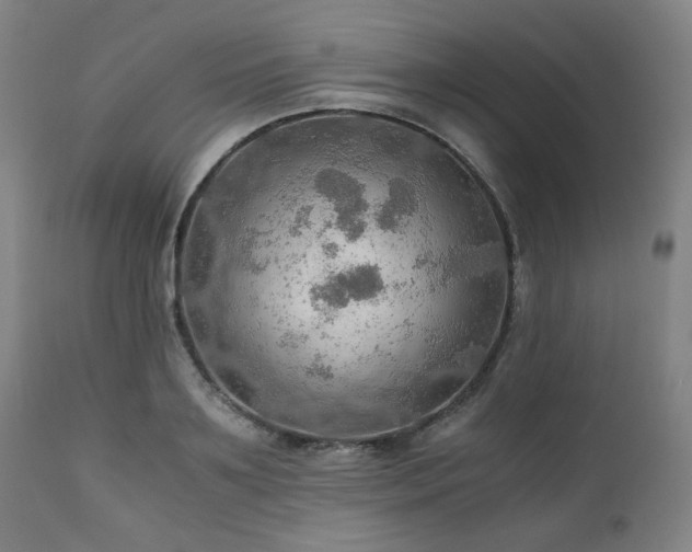 X0000111030891200906251302