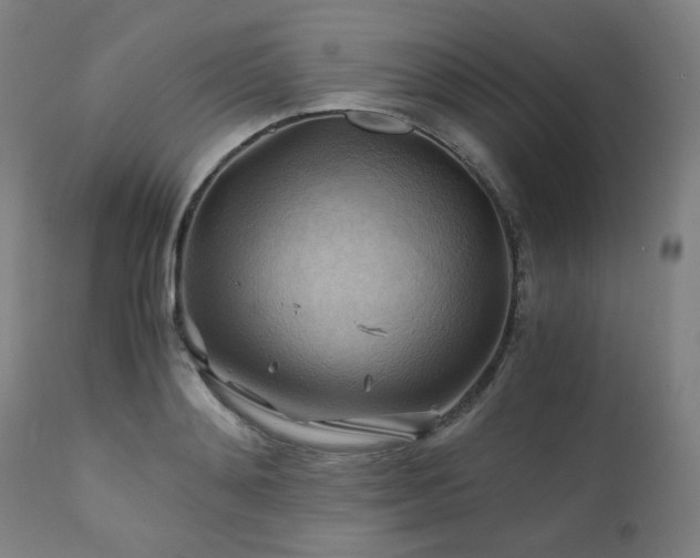 X0000111030892200906251302