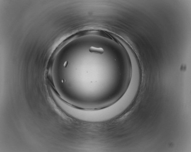 X0000111030893200906251302