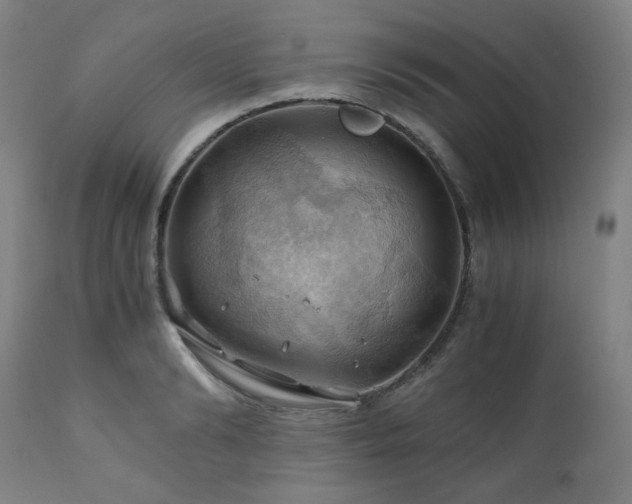 X0000111030894200906251302