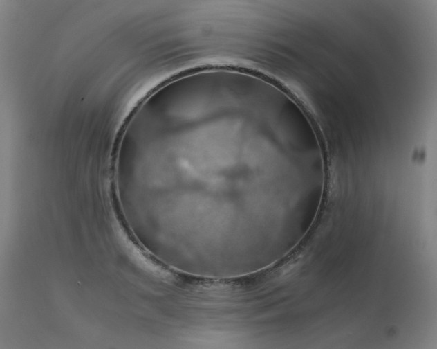 X0000111030895200906251302