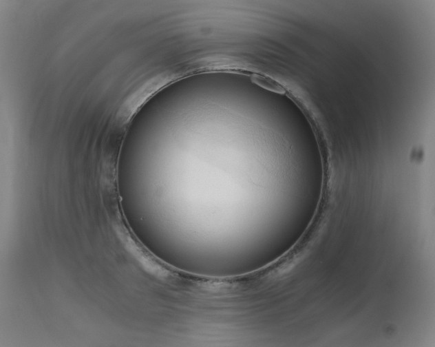 X0000111030897200906251302