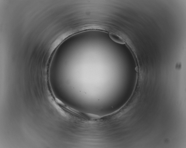 X0000111030898200906251302