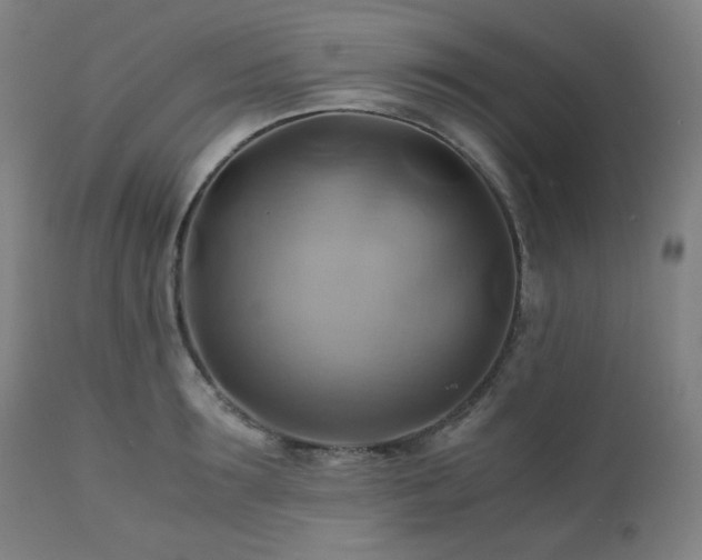 X0000111030899200906251302