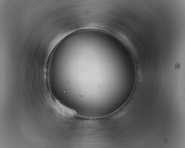 X0000111030900200906251302