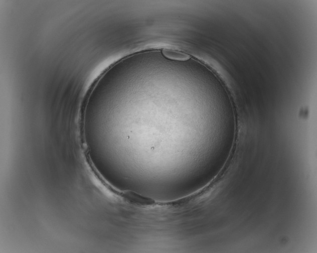X0000111030902200906251302