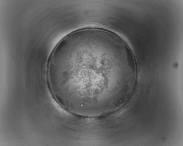 X0000111030903200906251302