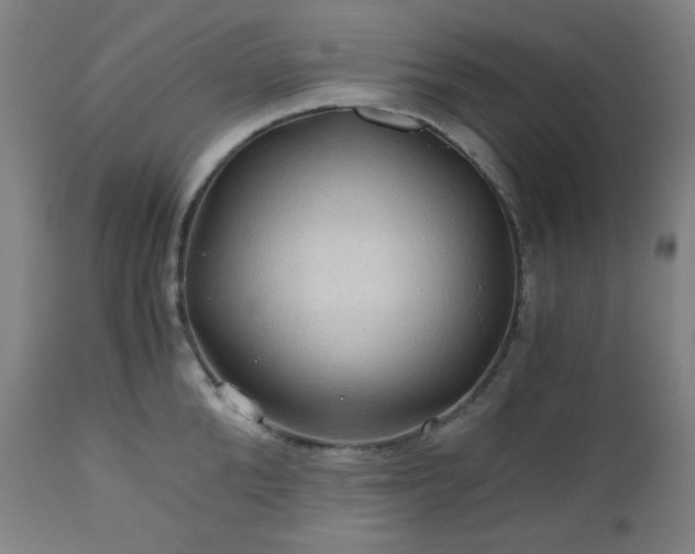 X0000111030904200906251302