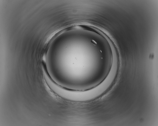 X0000111030905200906251302