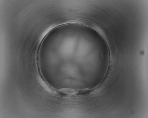 X0000111030907200906251302