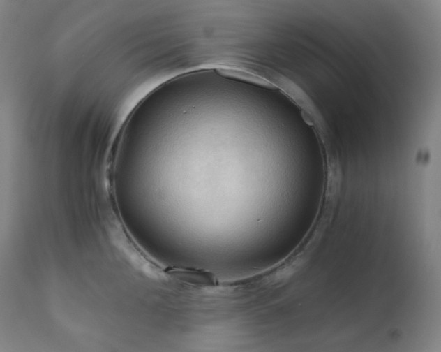 X0000111030908200906251302