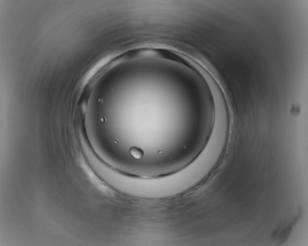 X0000111030909200906251302