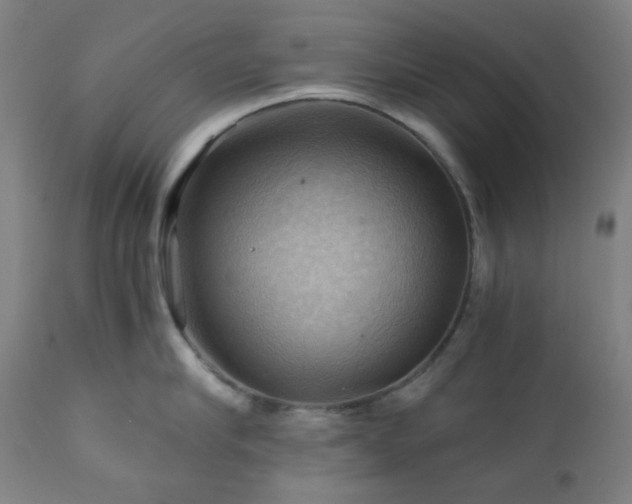 X0000111030910200906251302