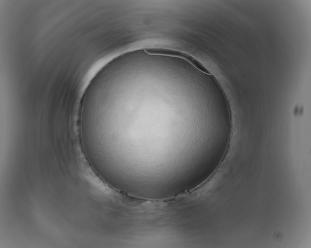 X0000111030912200906251302