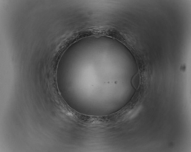 X0000111030913200906251301