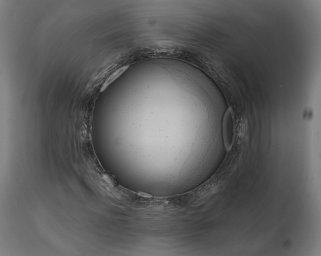 X0000111030916200906251301