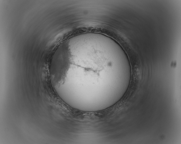 X0000111030918200906251301