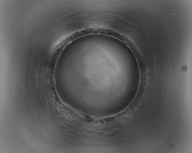 X0000111030919200906251301