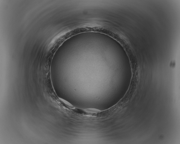 X0000111030920200906251301