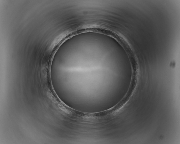 X0000111030921200906251301